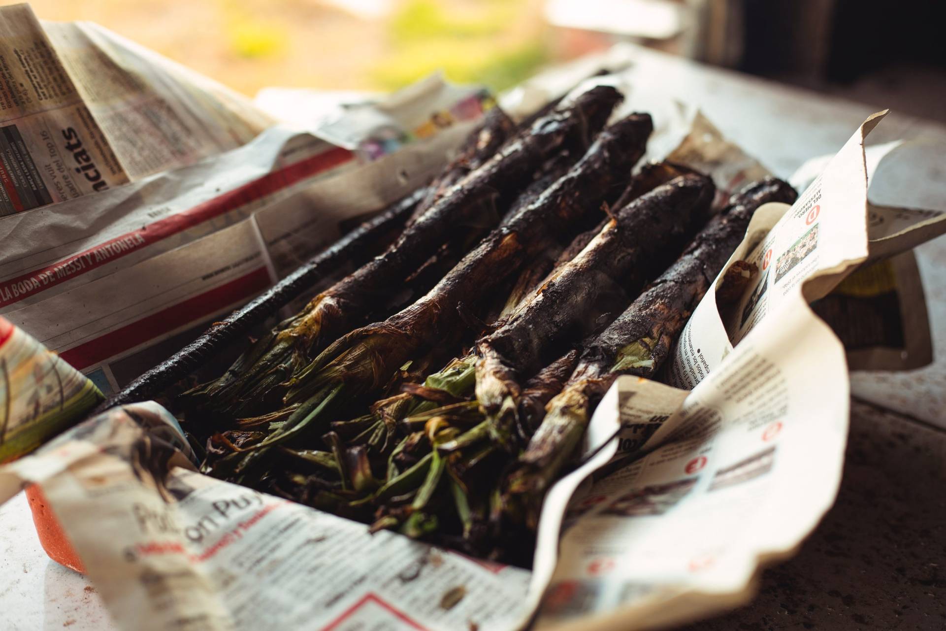 pexels ricardo ortiz 6584145 scaled Tus calçots